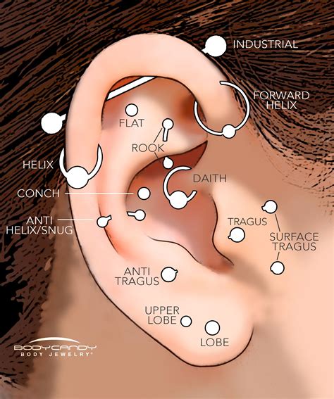 piercing tipi|kinds of piercings.